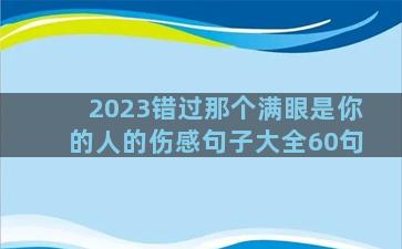 2023错过那个满眼是你的人的伤感句子大全60句