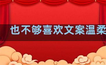 也不够喜欢文案温柔句子
