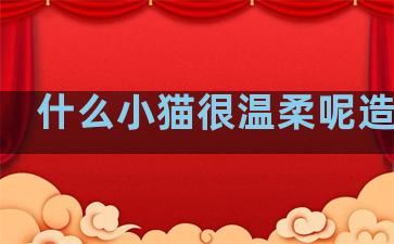 什么小猫很温柔呢造句子