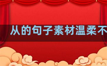 从的句子素材温柔不露脸