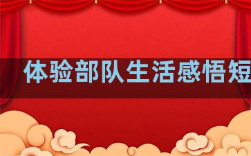 体验部队生活感悟短句子