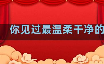 你见过最温柔干净的句子