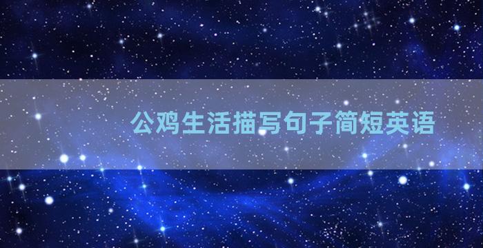 公鸡生活描写句子简短英语