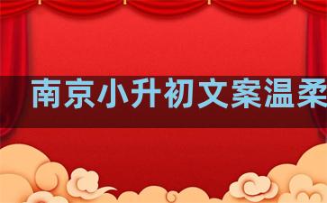 南京小升初文案温柔句子