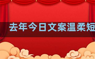 去年今日文案温柔短句子