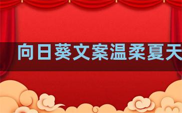 向日葵文案温柔夏天句子