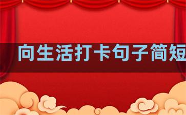 向生活打卡句子简短英文