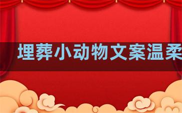 埋葬小动物文案温柔句子