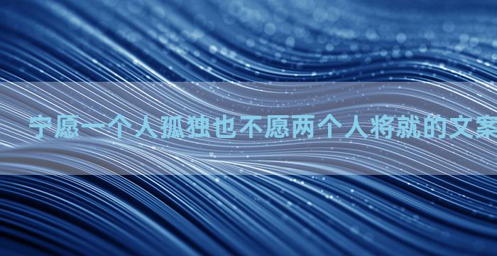 宁愿一个人孤独也不愿两个人将就的文案摘录六十条