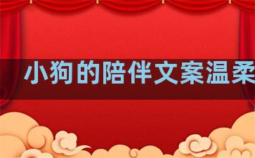小狗的陪伴文案温柔句子
