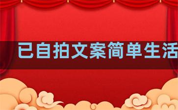 已自拍文案简单生活句子
