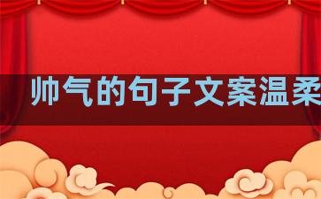 帅气的句子文案温柔温暖