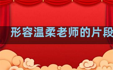 形容温柔老师的片段句子