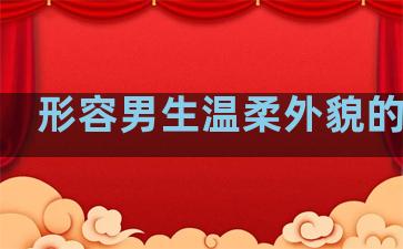形容男生温柔外貌的句子