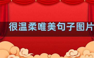 很温柔唯美句子图片带字