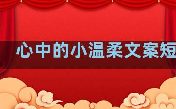 心中的小温柔文案短句子