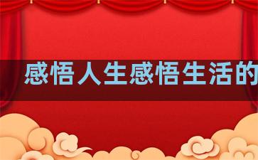 感悟人生感悟生活的句子
