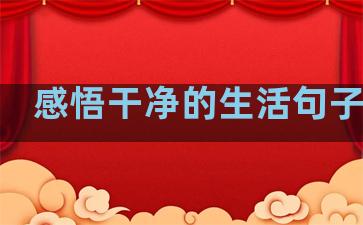 感悟干净的生活句子图片