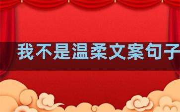 我不是温柔文案句子简短