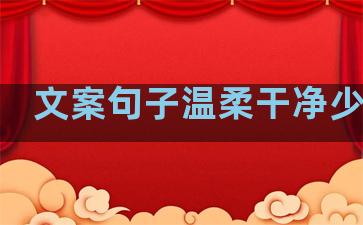 文案句子温柔干净少年感