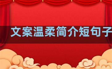 文案温柔简介短句子大全
