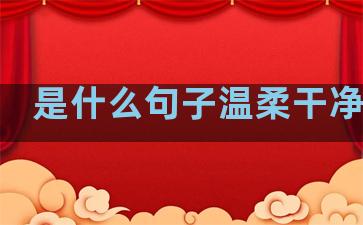 是什么句子温柔干净治愈