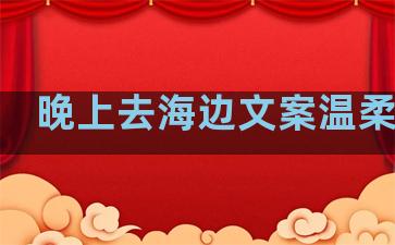 晚上去海边文案温柔句子