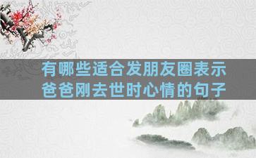 有哪些适合发朋友圈表示爸爸刚去世时心情的句子