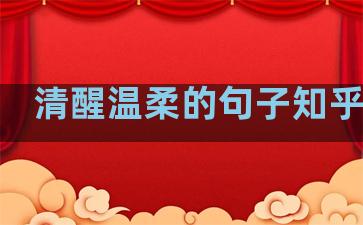 清醒温柔的句子知乎全文