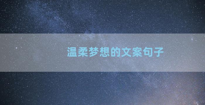 温柔梦想的文案句子