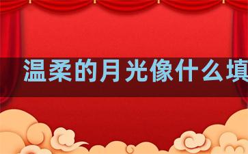 温柔的月光像什么填句子