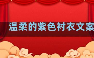 温柔的紫色衬衣文案句子