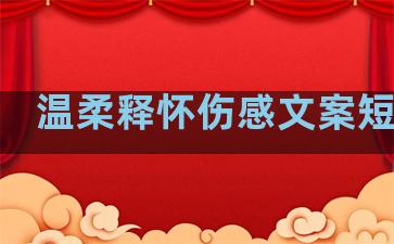 温柔释怀伤感文案短句子