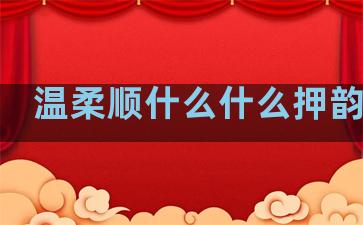 温柔顺什么什么押韵句子