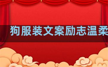 狗服装文案励志温柔句子