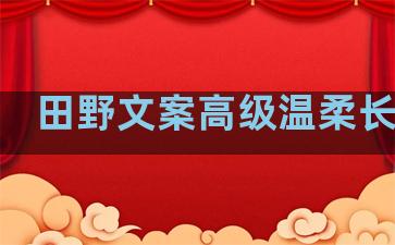 田野文案高级温柔长句子