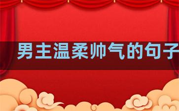 男主温柔帅气的句子现代