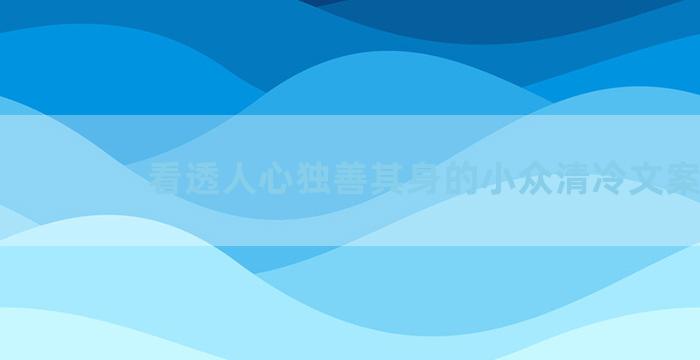 看透人心独善其身的小众清冷文案