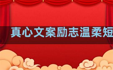 真心文案励志温柔短句子