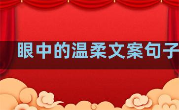 眼中的温柔文案句子伤感