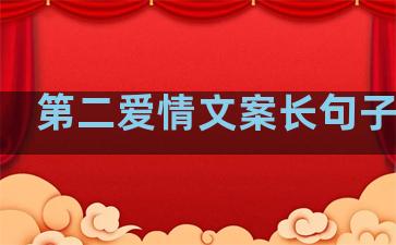 第二爱情文案长句子温柔
