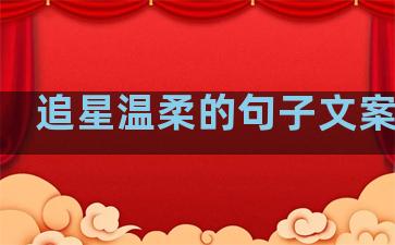 追星温柔的句子文案图片