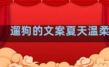 遛狗的文案夏天温柔句子