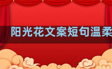 阳光花文案短句温柔句子