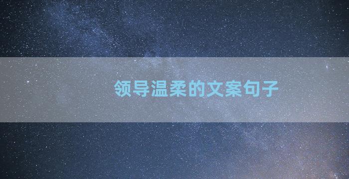 领导温柔的文案句子
