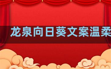 龙泉向日葵文案温柔句子